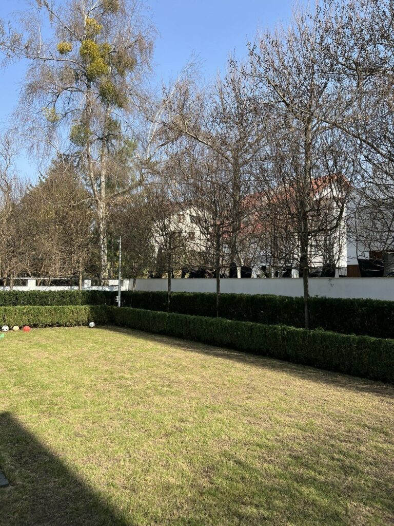 img 9874